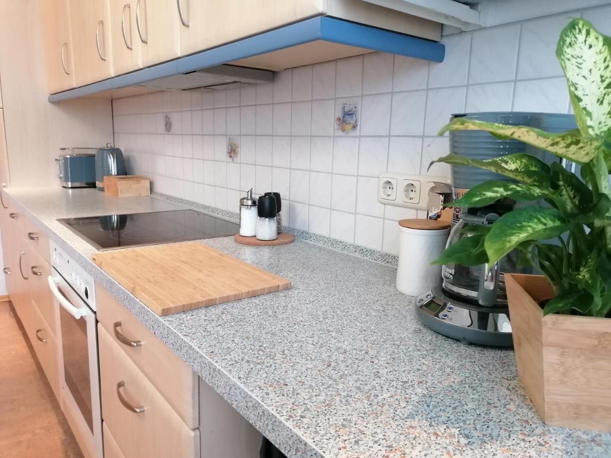 Apartment Sonne Reusa Plauen Dış mekan fotoğraf